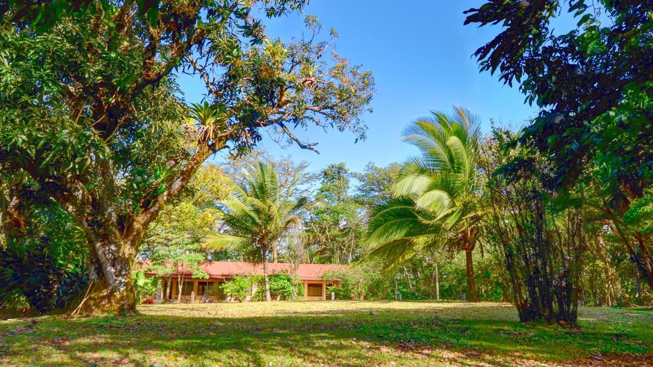 Monte Terras Bed & Breakfast Tronadora Ngoại thất bức ảnh